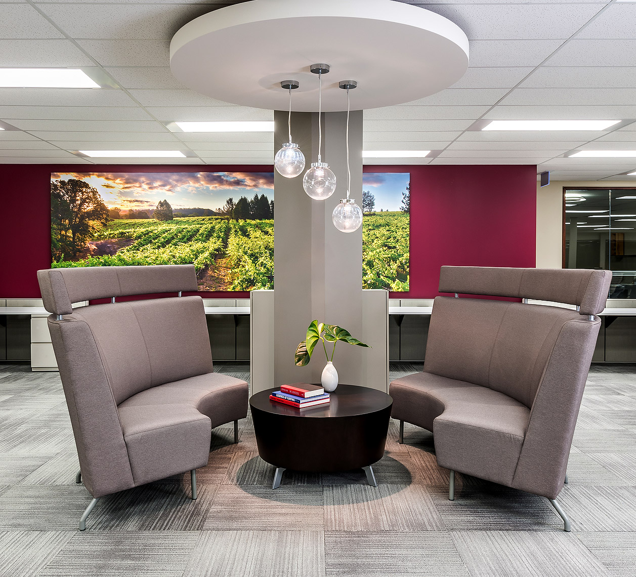 Gillian Jackson | CVB | Gallo